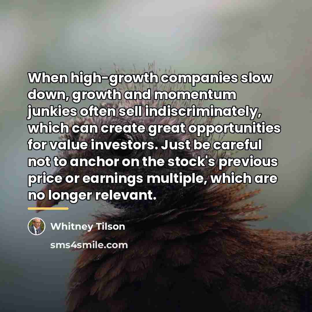 “When high-growth companies slow down, growth and momentum junkies often…” quote by Whitney Tilson