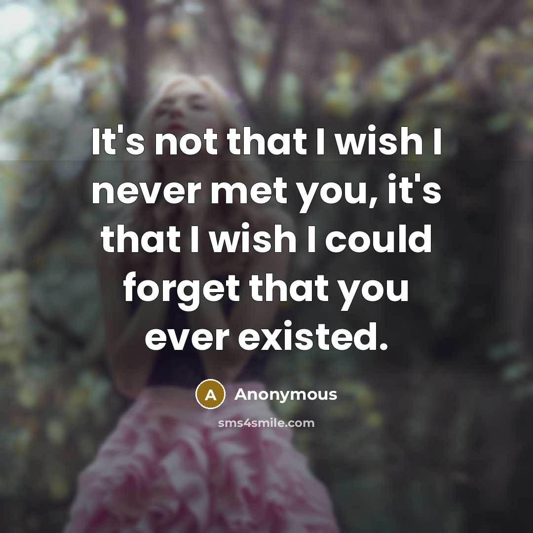 “It's not that I wish I never met you, it's that I wish I could forget that you ever existed.” quote by Anonymous