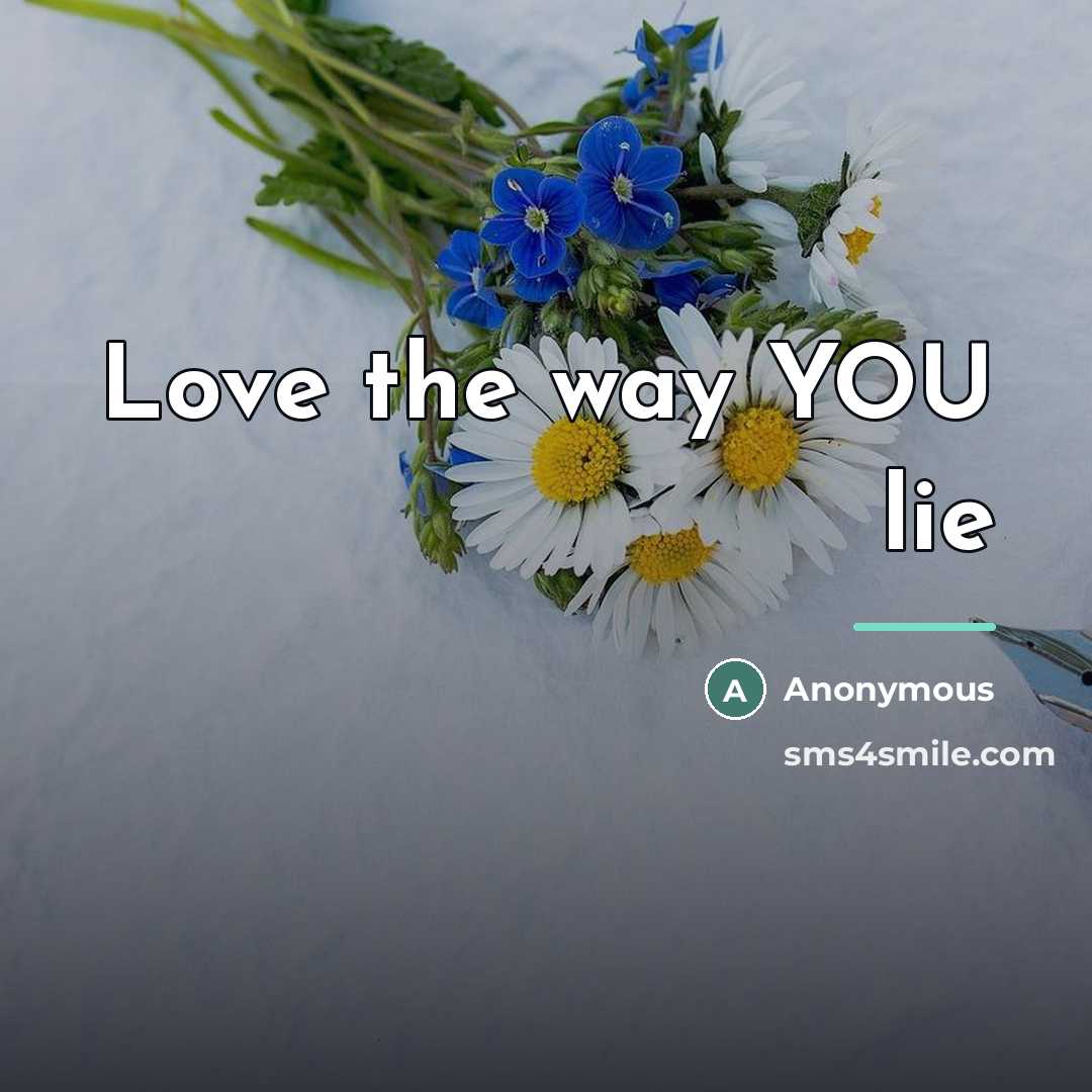 “Love the way YOU lie…” quote by Anonymous