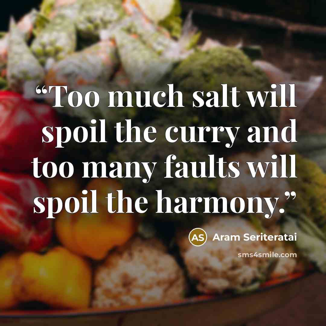 “Too much salt will spoil the curry and too many faults will spoil the harmony.” quote by Aram Seriteratai