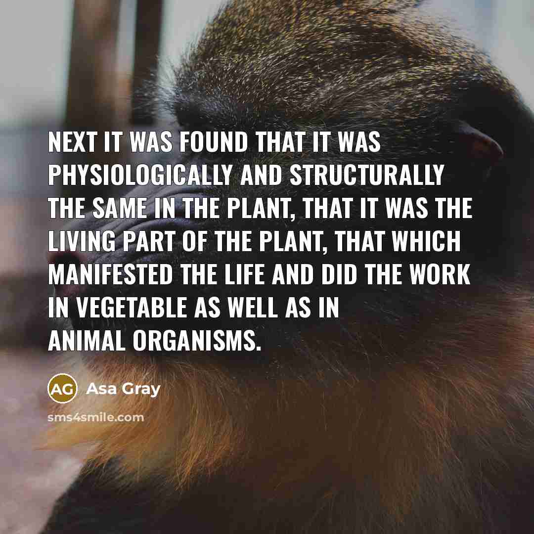 “Next it was found that it was physiologically and structurally…” quote by Asa Gray