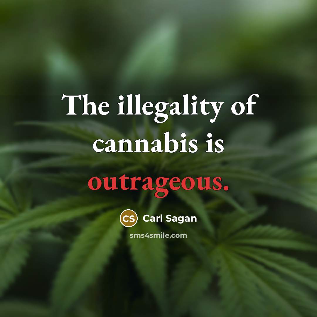 “The illegality of cannabis is outrageous.…” quote by Carl Sagan