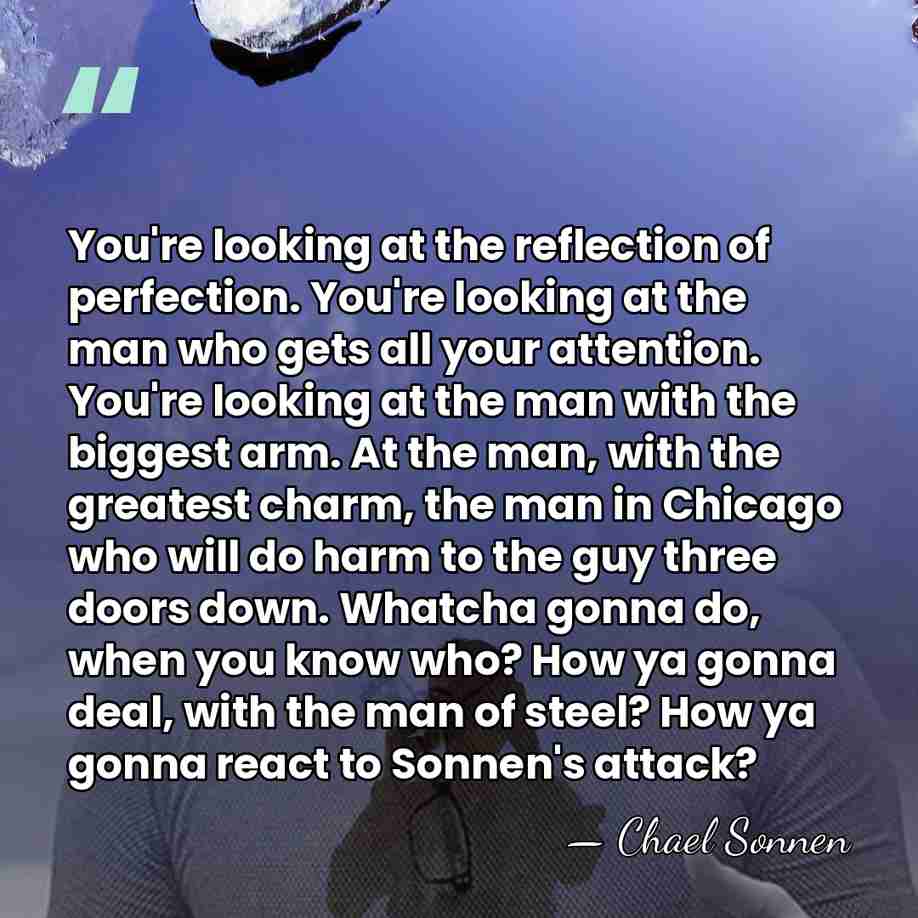 You're looking at the reflection of perfection. You're looking at the man&hellip; - Chael Sonnen