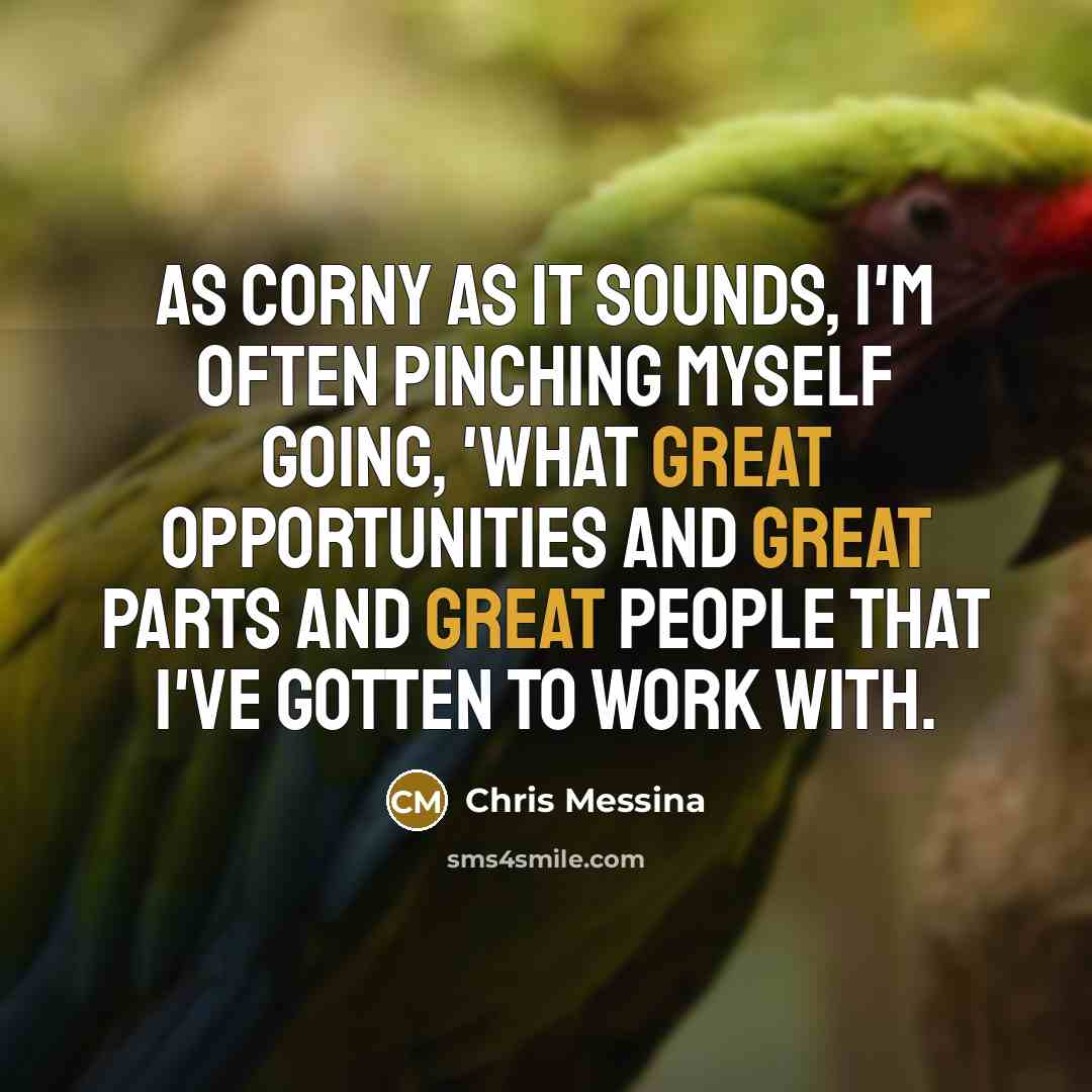 “As corny as it sounds, I'm often pinching myself going,…” quote by Chris Messina