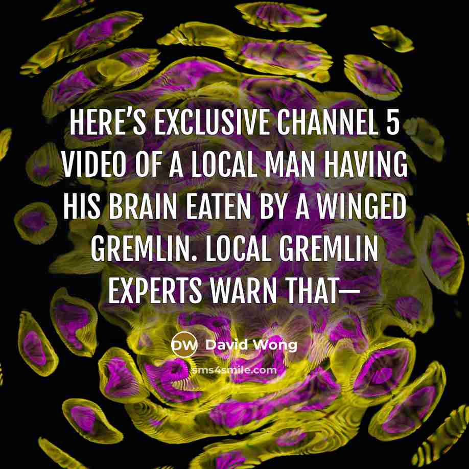 “Here’s exclusive Channel 5 video of a local man having…” quote by David Wong