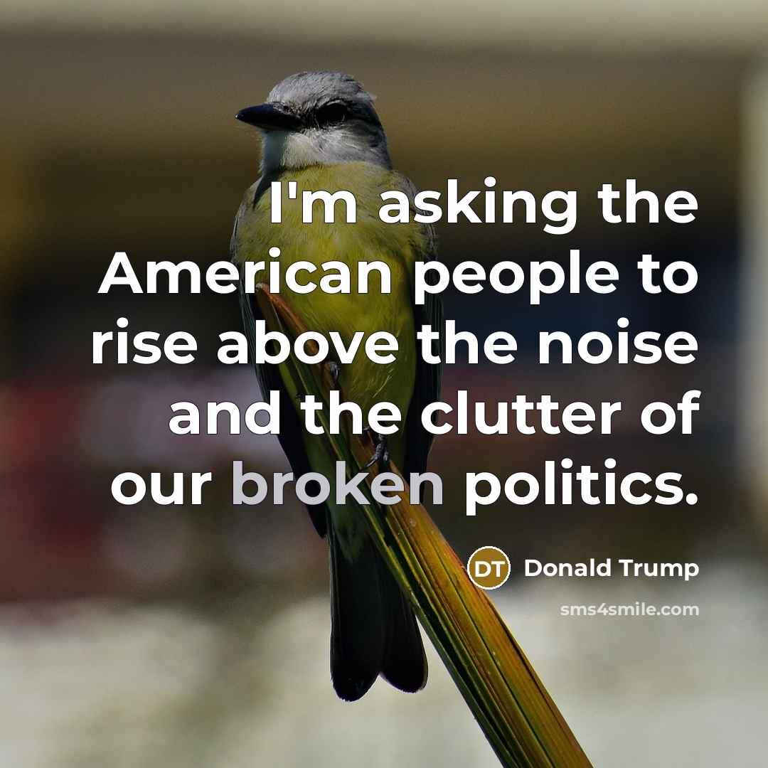 “I'm asking the American people to rise above the noise…” quote by Donald Trump