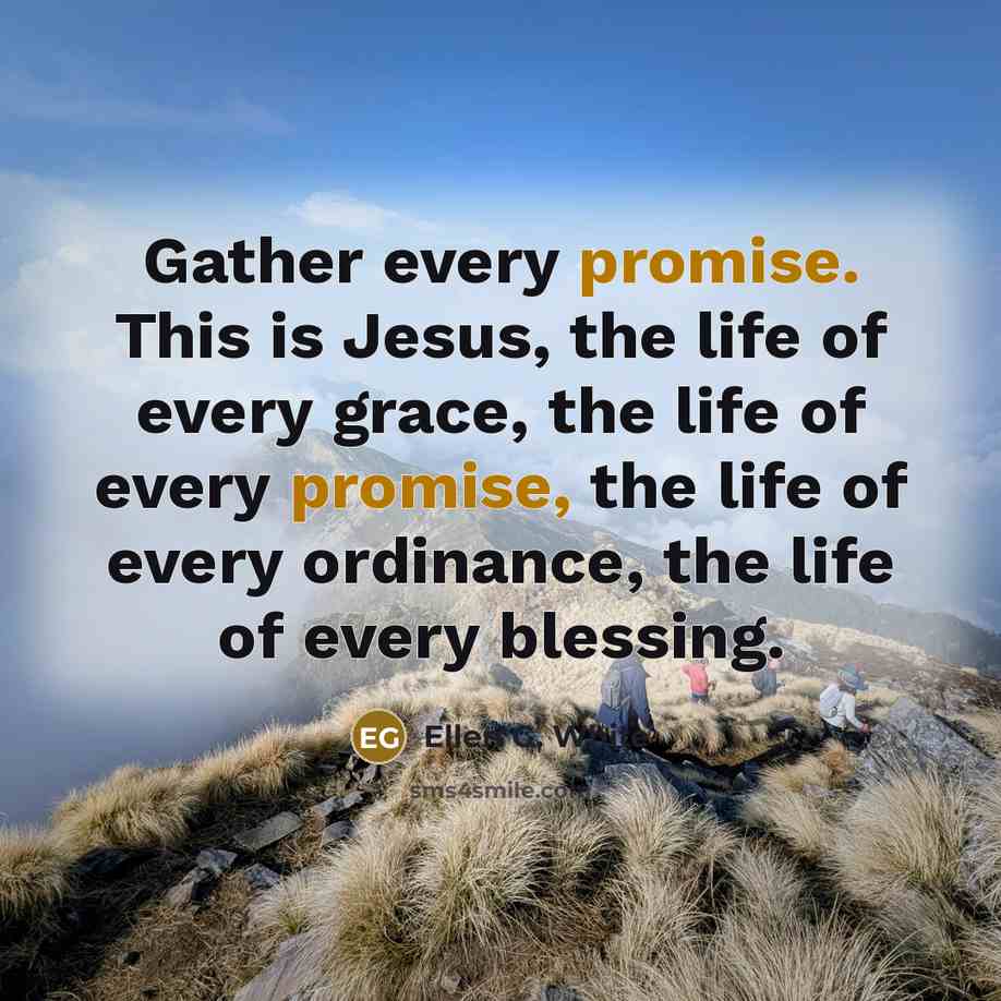 “Gather every promise. This is Jesus, the life of every…” quote by Ellen G. White