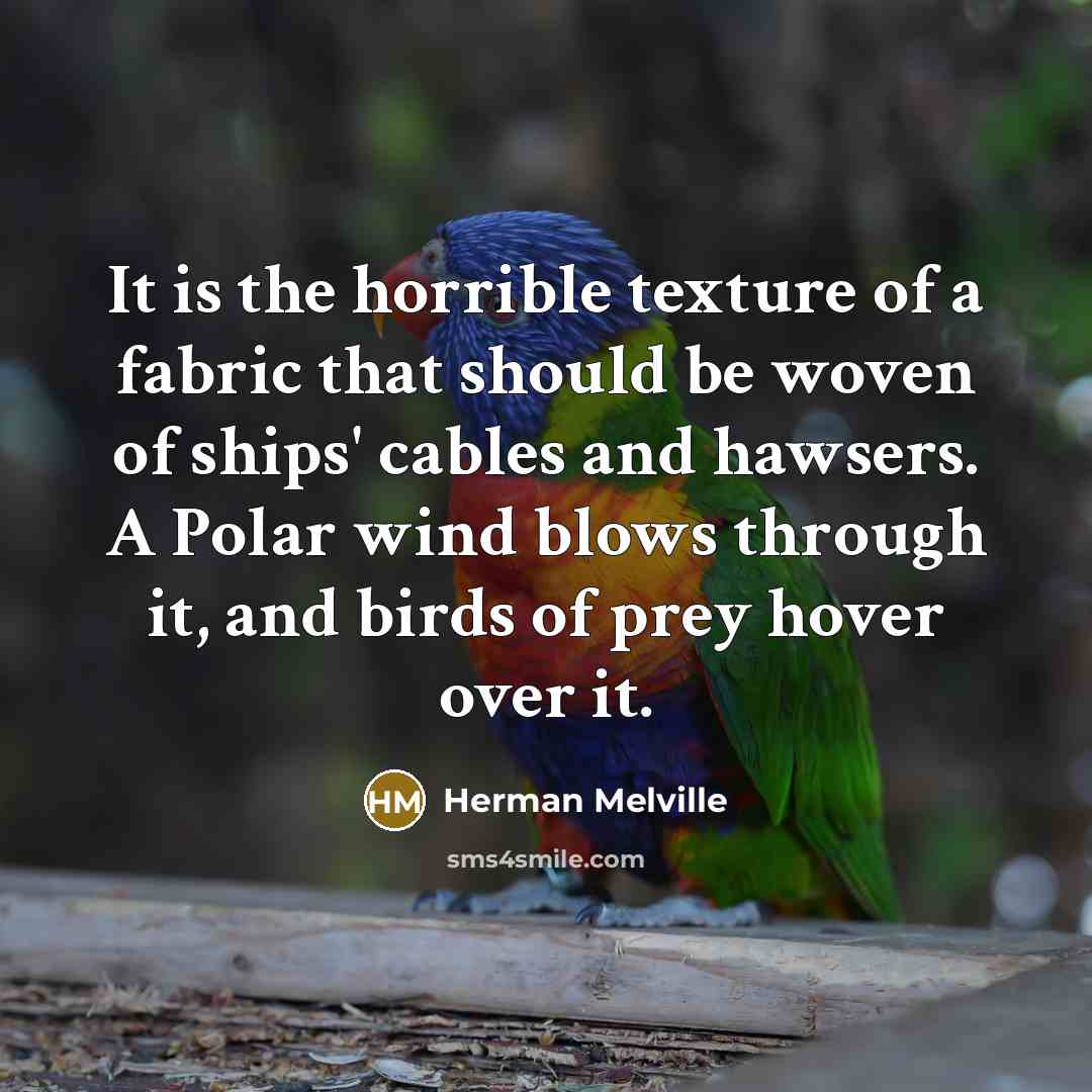 “It is the horrible texture of a fabric that should…” quote by Herman Melville