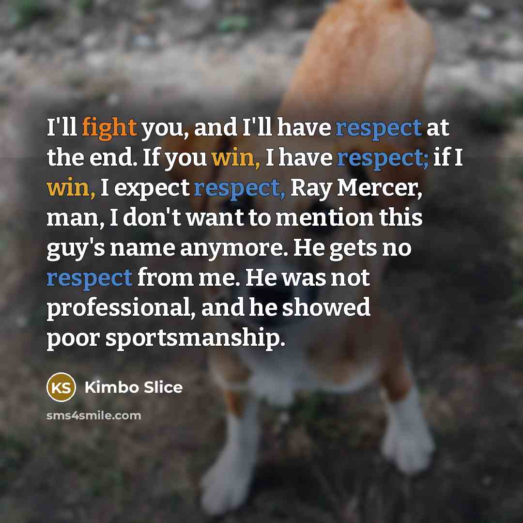 “I'll fight you, and I'll have respect at the end.…” quote by Kimbo Slice