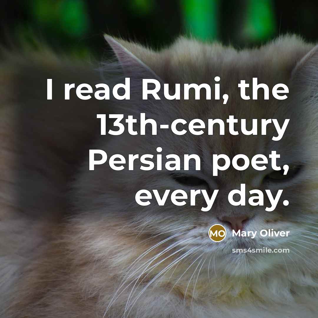 “I read Rumi, the 13th-century Persian poet, every day.…” quote by Mary Oliver