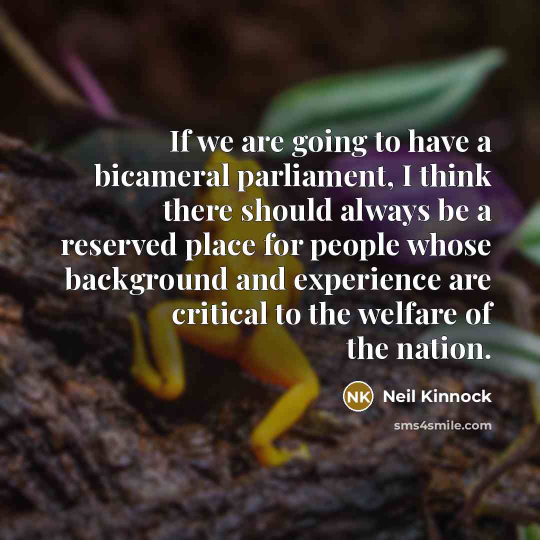“If we are going to have a bicameral parliament, I…” quote by Neil Kinnock