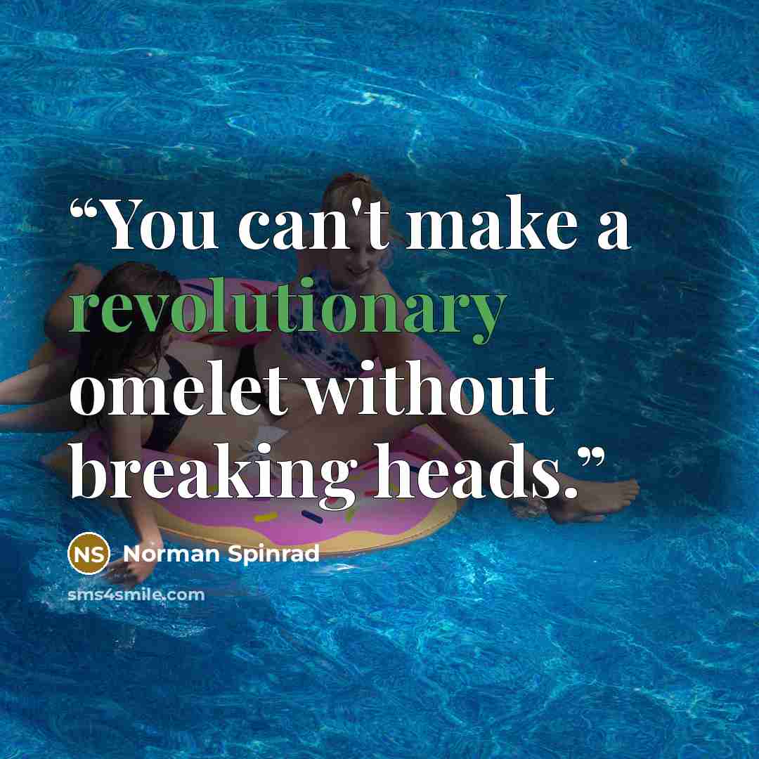 “You can't make a revolutionary omelet without breaking heads.” quote by Norman Spinrad