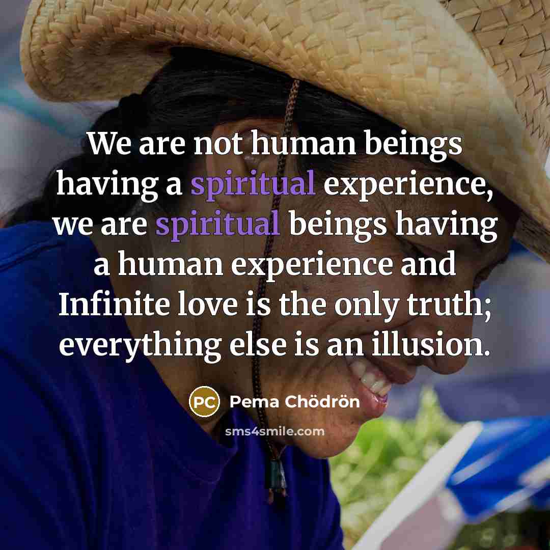 “We are not human beings having a spiritual experience, we…” quote by Pema Chodron