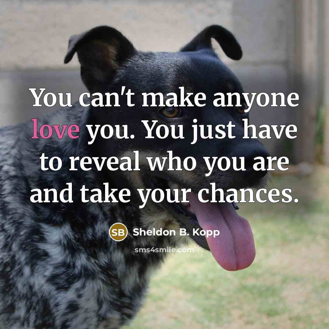 “You can't make anyone love you. You just have to…” quote by Sheldon B. Kopp