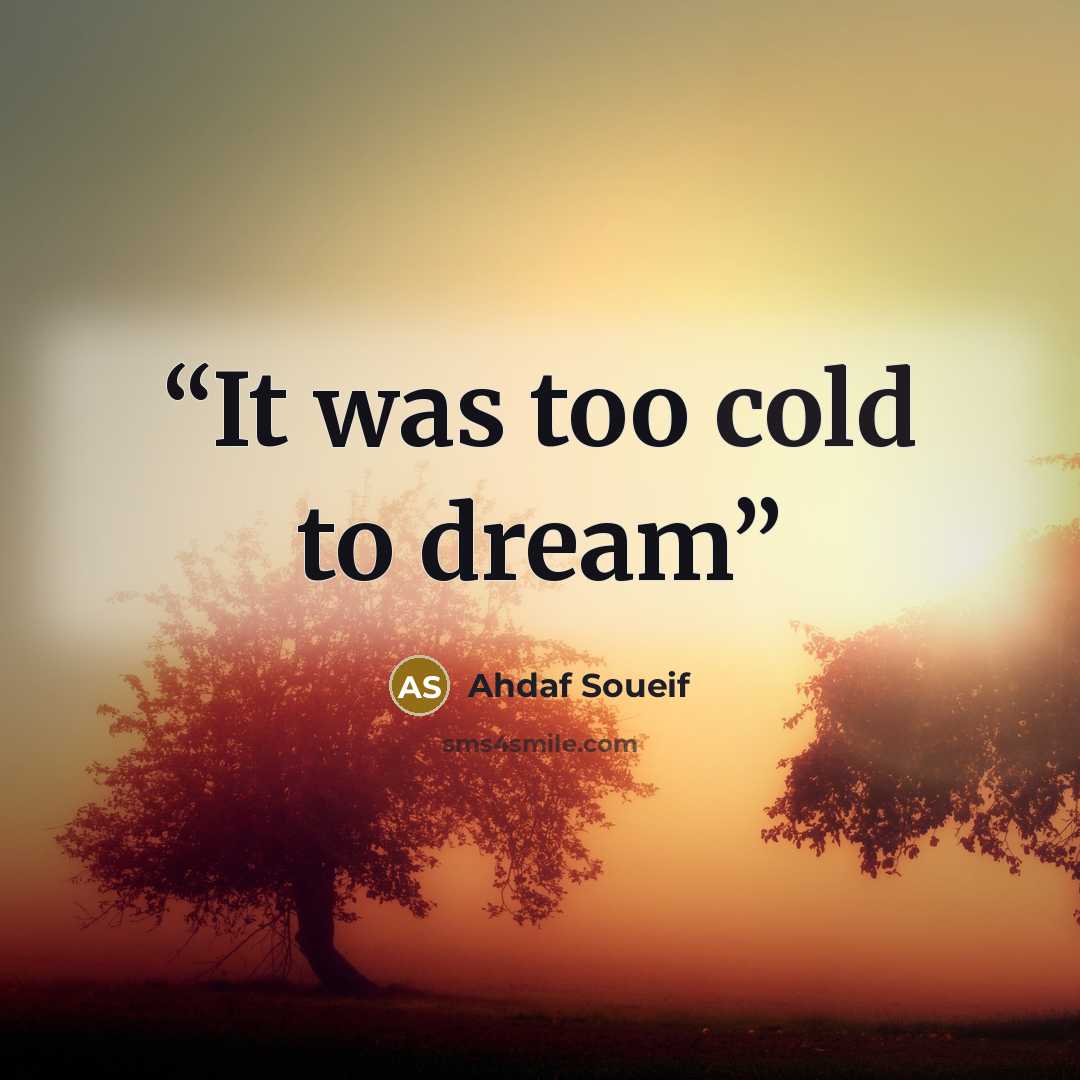 “It was too cold to dream” quote by Ahdaf Soueif