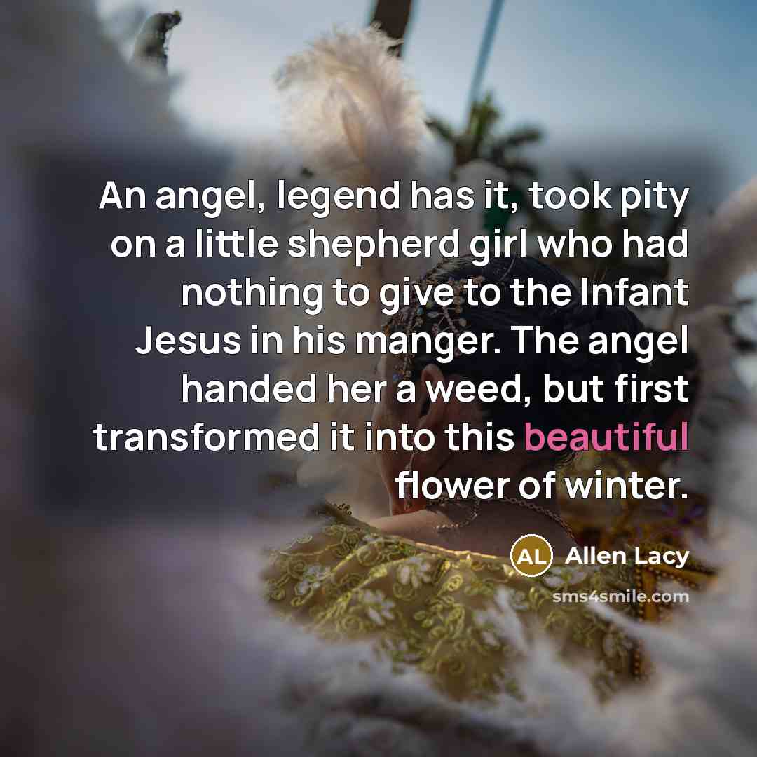 “An angel, legend has it, took pity on a little…” quote by Allen Lacy
