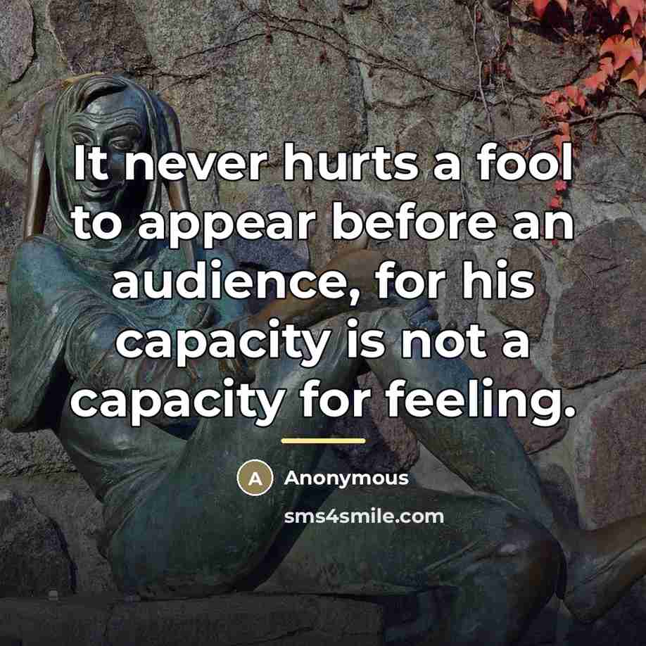 “It never hurts a fool to appear before an audience,…” quote by Anonymous