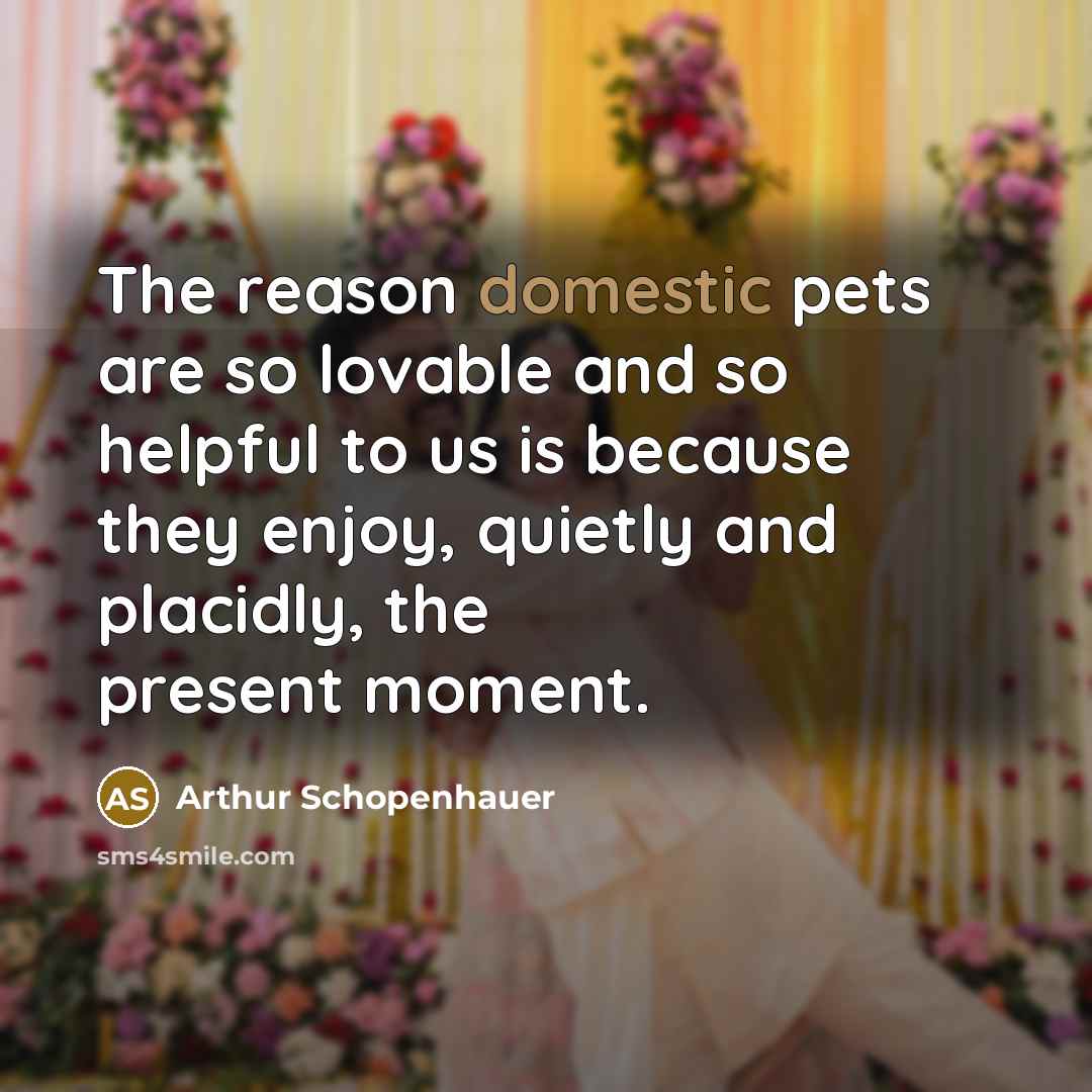 “The reason domestic pets are so lovable and so helpful…” quote by Arthur Schopenhauer