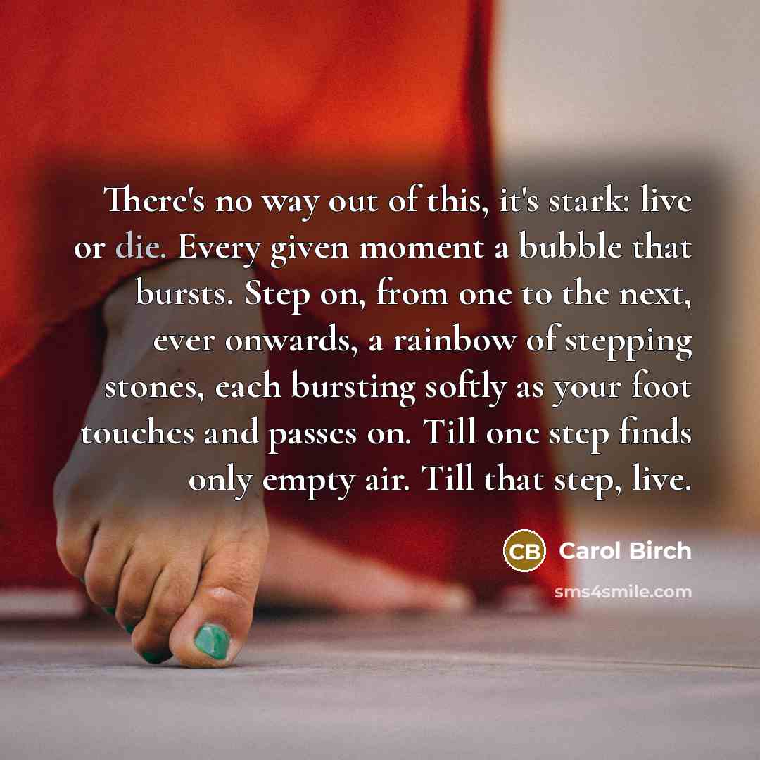 “There's no way out of this, it's stark: live or…” quote by Carol Birch