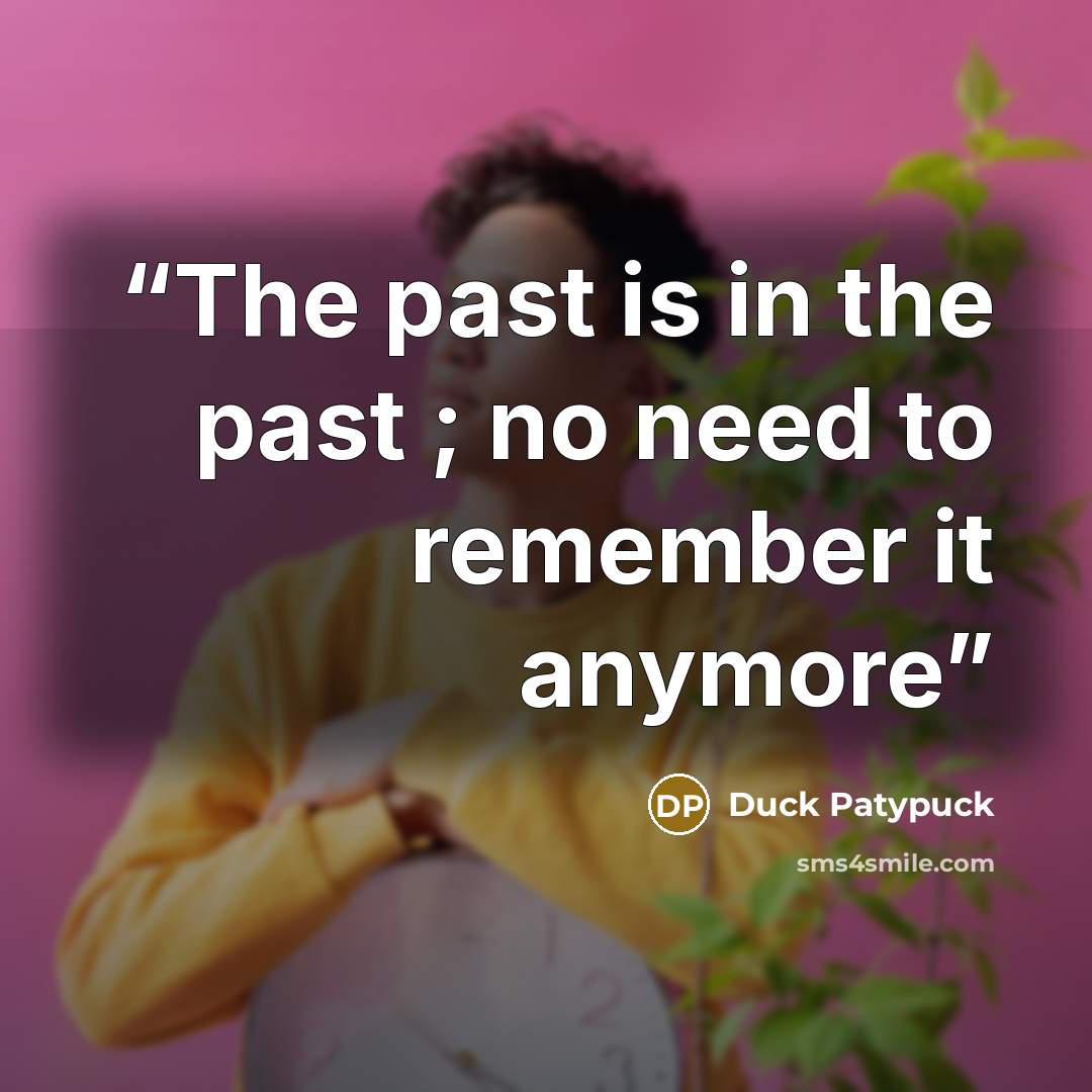 “The past is in the past ; no need to remember it anymore” quote by Duck Patypuck