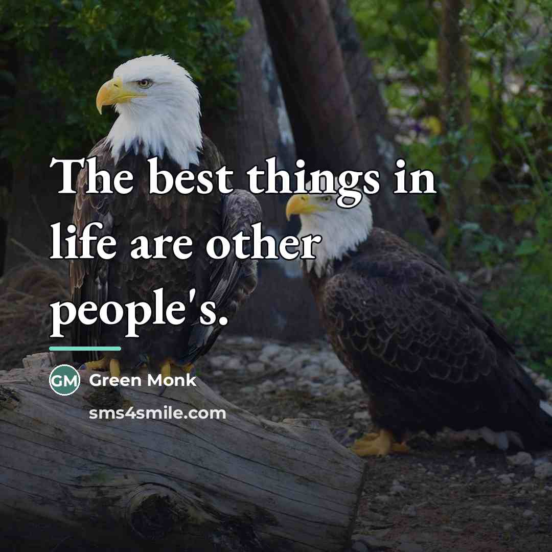 “The best things in life are other people's.…” quote by Green Monk