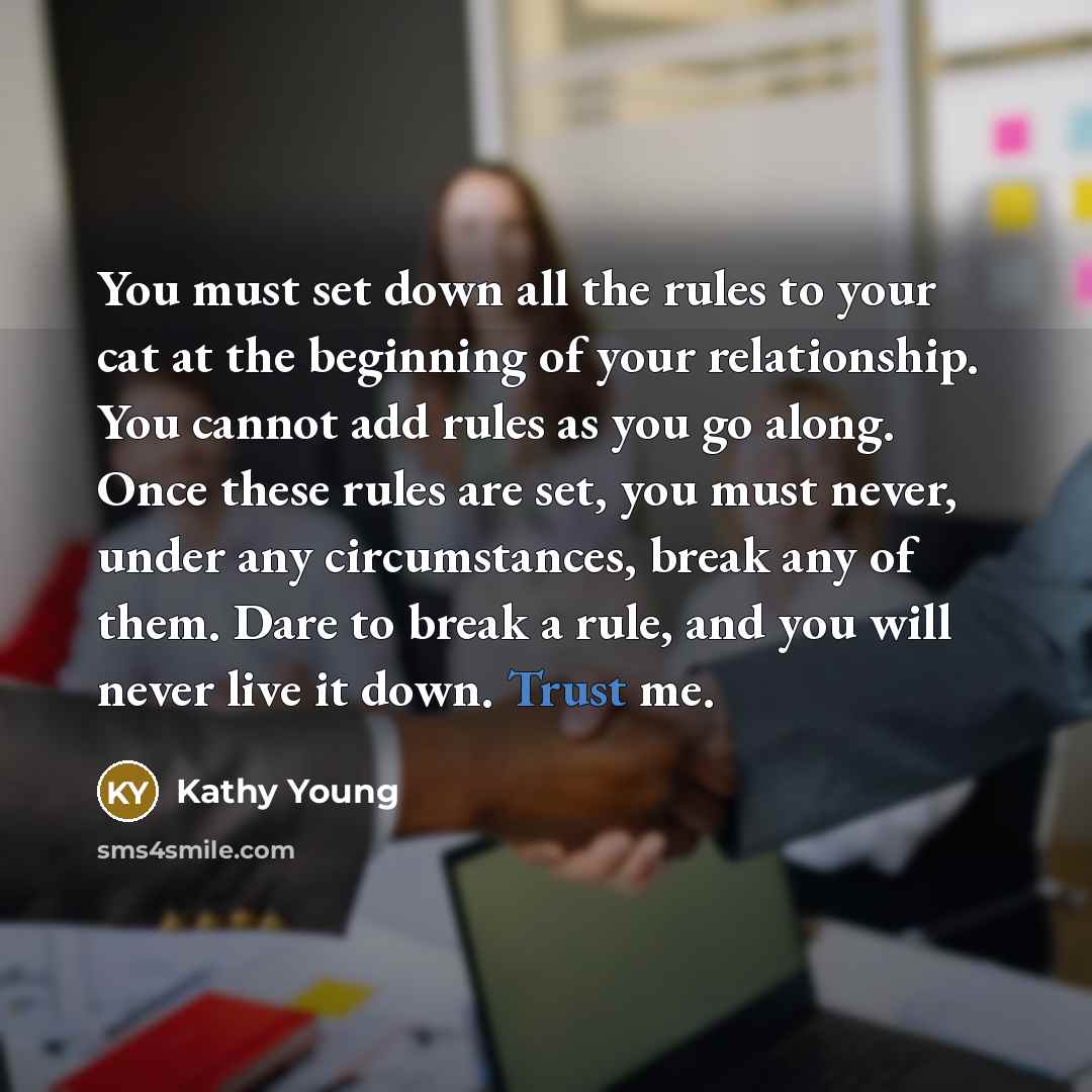 “You must set down all the rules to your cat…” quote by Kathy Young