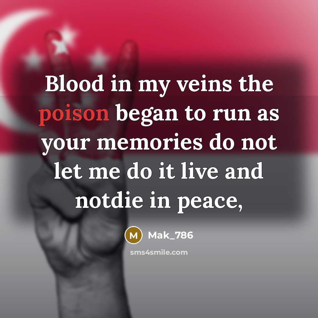 “Blood in my veins the poison began to run as your memories do not let me do it live and notdie in peace,” quote by Mak_786