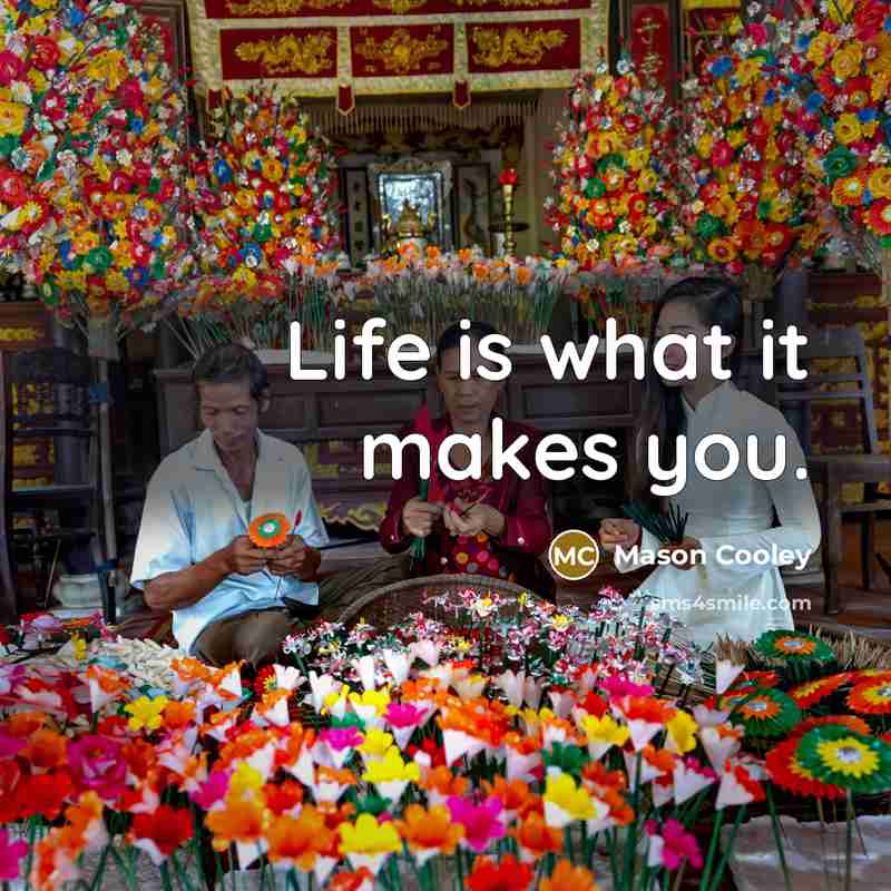 “Life is what it makes you.…” quote by Mason Cooley