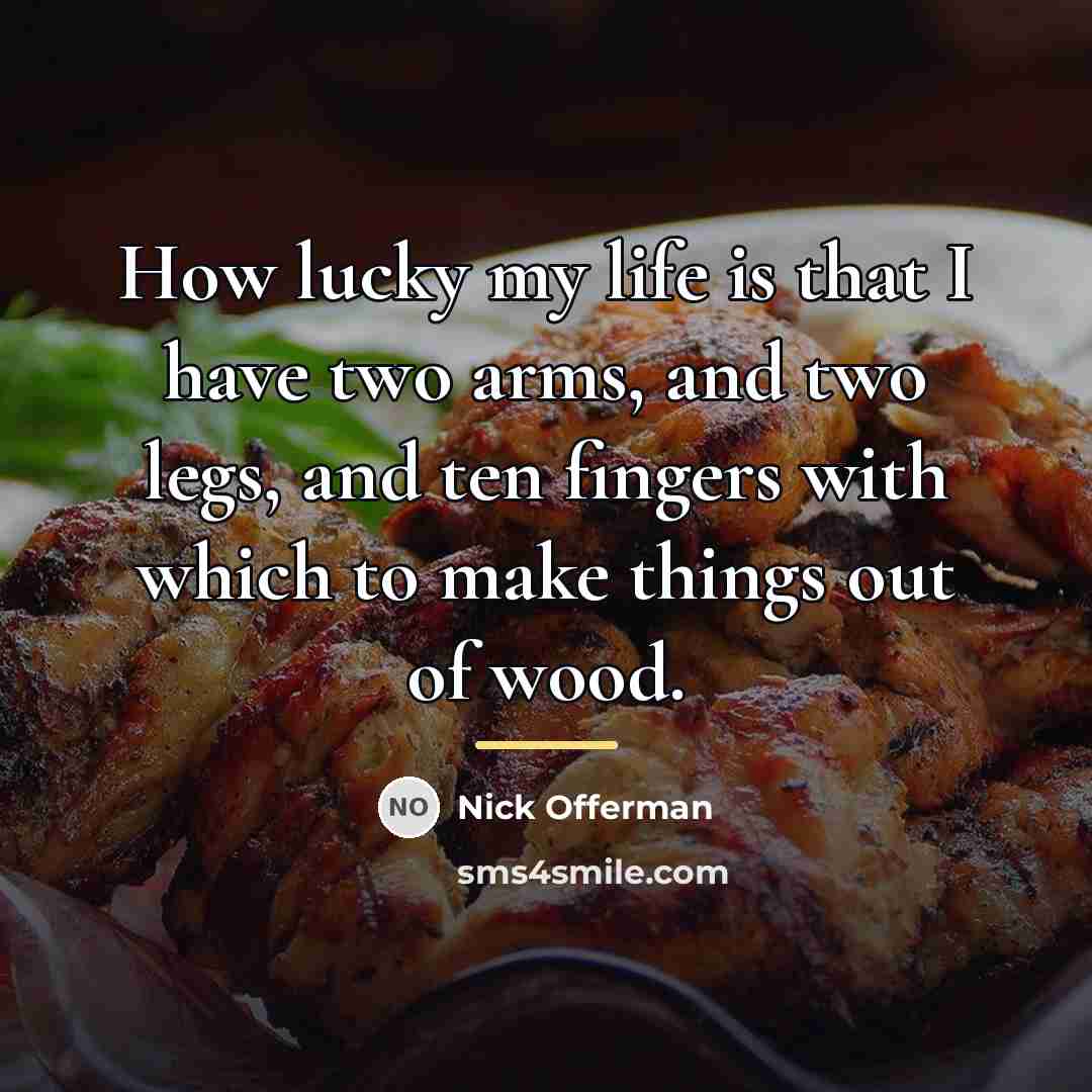 “How lucky my life is that I have two arms,…” quote by Nick Offerman