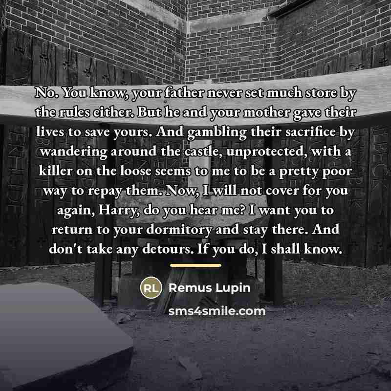 “No. You know, your father never set much store by…” quote by Remus Lupin