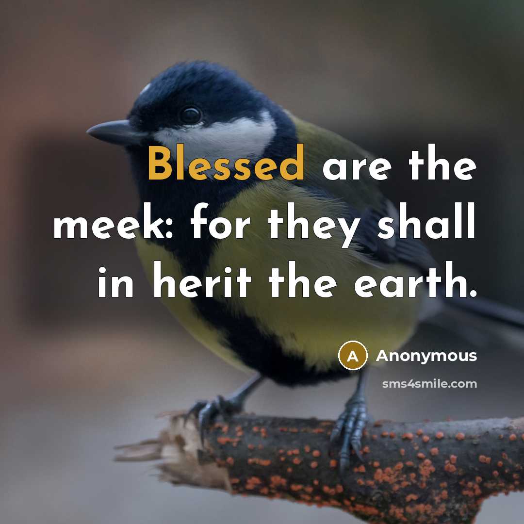 “Blessed are the meek: for they shall in herit the earth.” quote by Anonymous