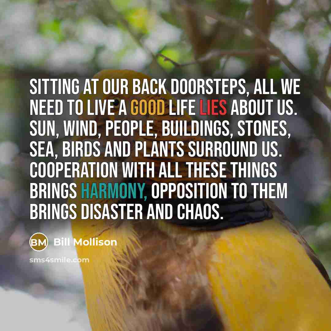 “Sitting at our back doorsteps, all we need to live…” quote by Bill Mollison