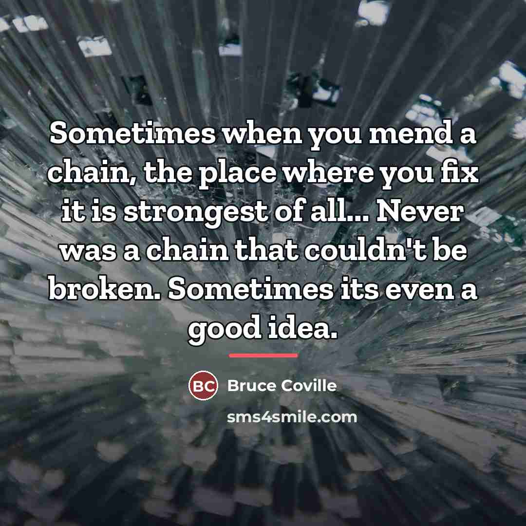 “Sometimes when you mend a chain, the place where you…” quote by Bruce Coville