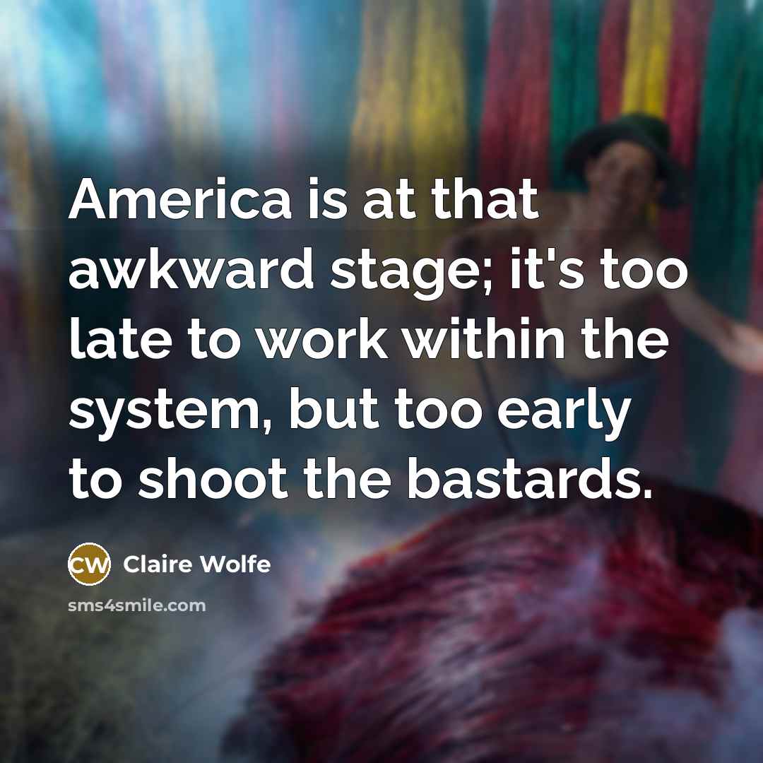 “America is at that awkward stage; it's too late to work within the system, but too early to shoot the bastards.” quote by Claire Wolfe