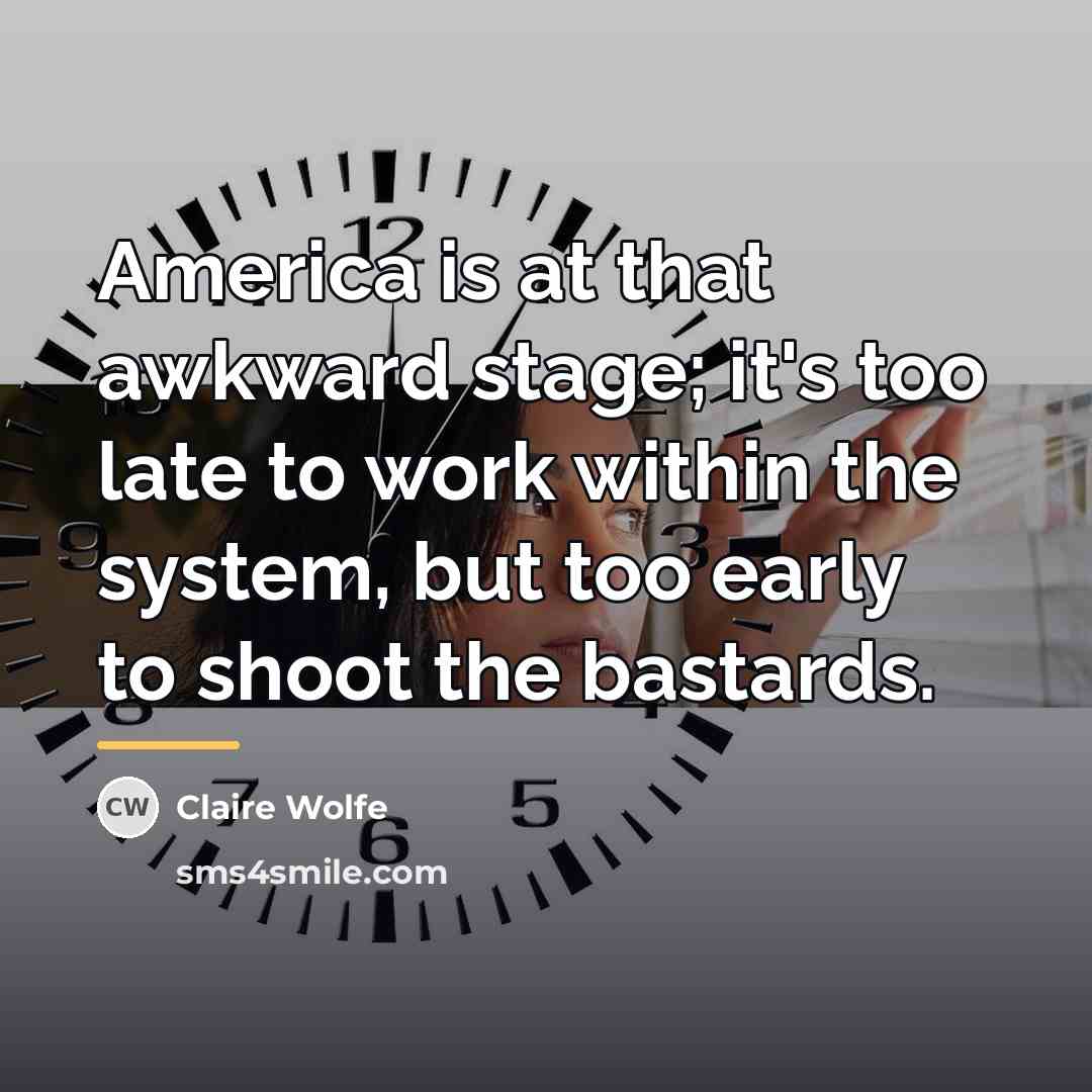 “America is at that awkward stage; it's too late to…” quote by Claire Wolfe