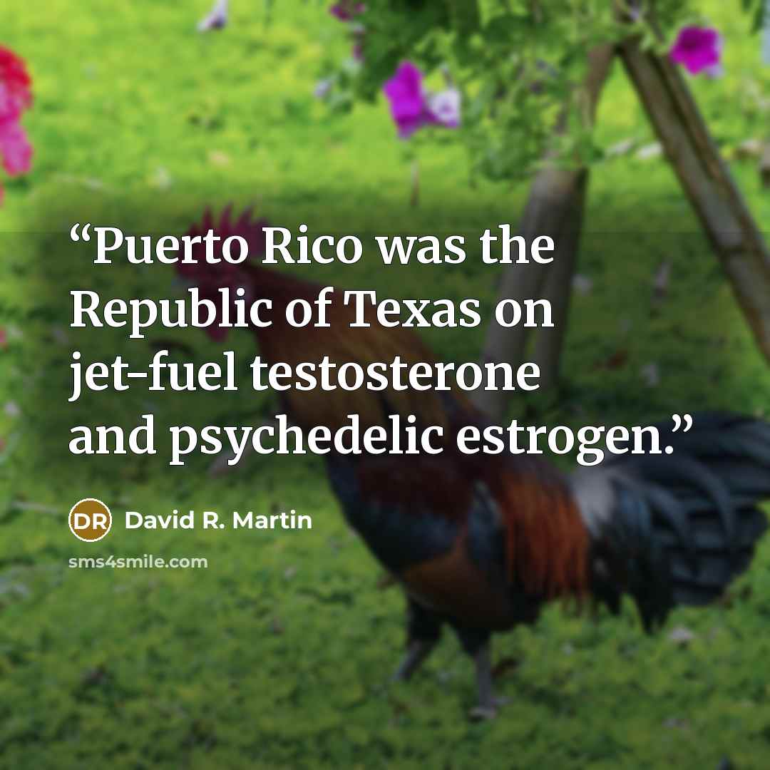 “Puerto Rico was the Republic of Texas on jet-fuel testosterone and psychedelic estrogen.” quote by David R. Martin