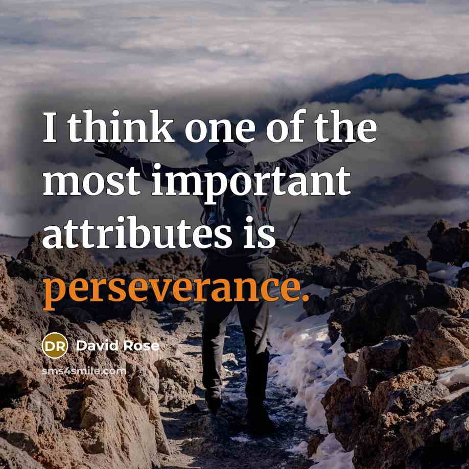 “I think one of the most important attributes is perseverance.…” quote by David Rose