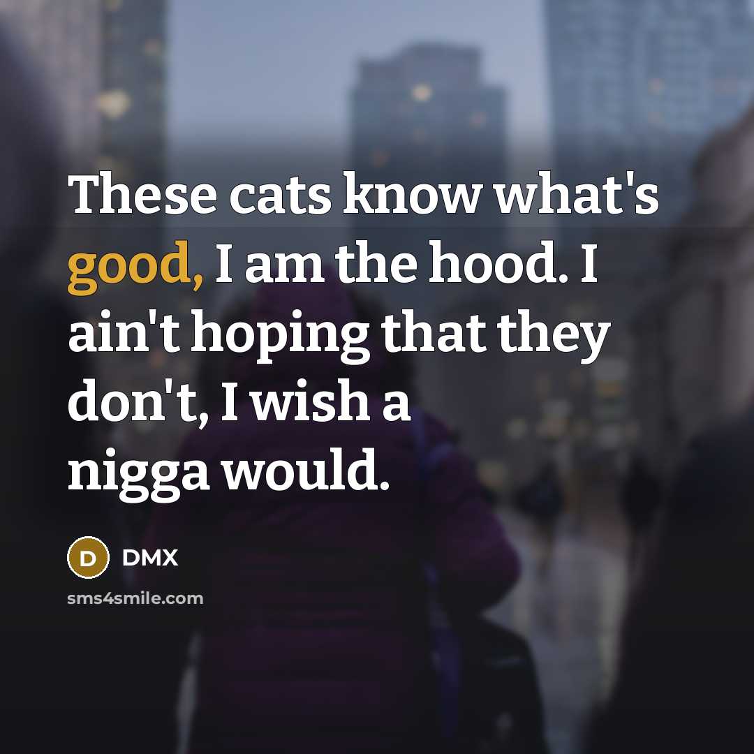“These cats know what's good, I am the hood. I ain't hoping that they don't, I wish a nigga would.” quote by Dmx