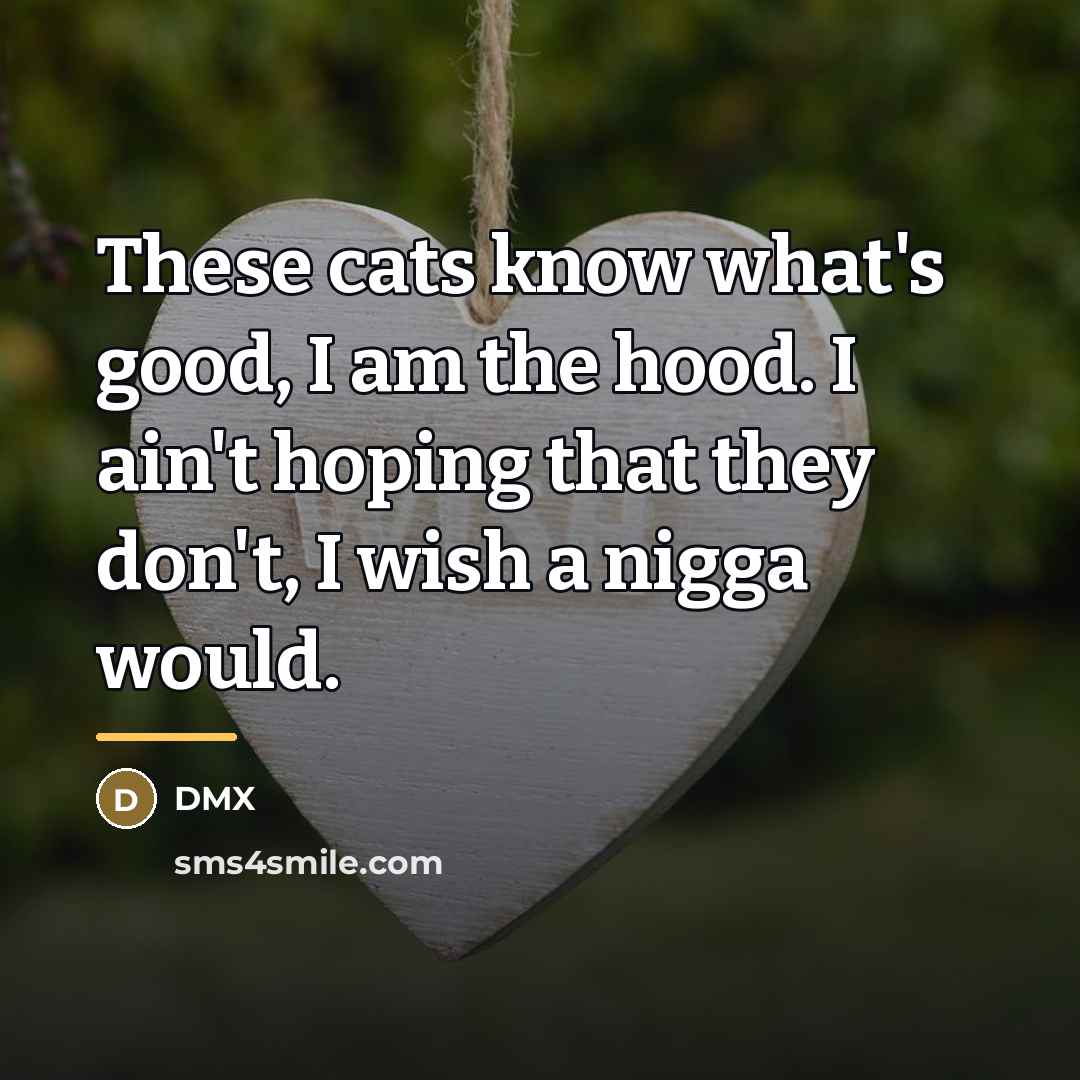 “These cats know what's good, I am the hood. I…” quote by Dmx
