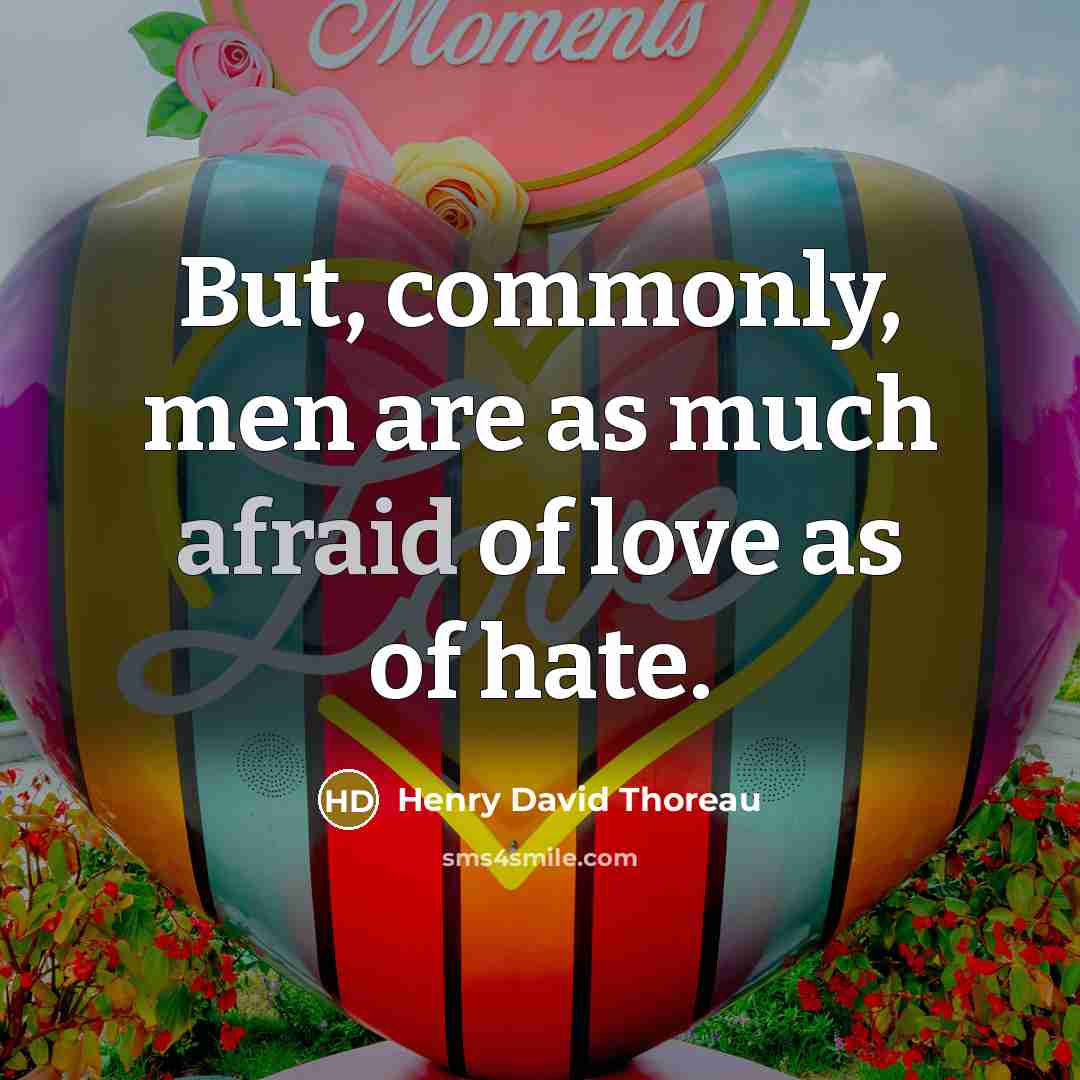 “But, commonly, men are as much afraid of love as…” quote by Henry David Thoreau