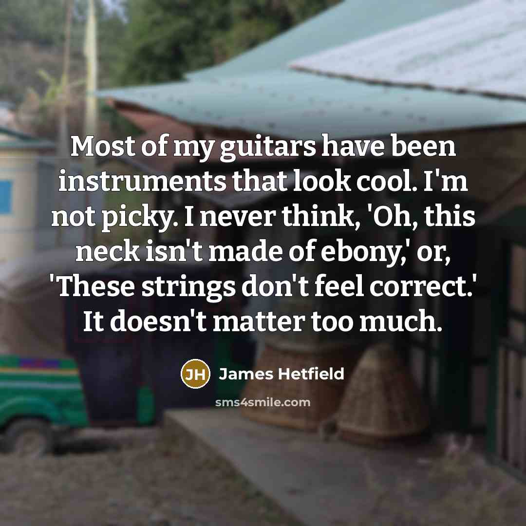 “Most of my guitars have been instruments that look cool.…” quote by James Hetfield