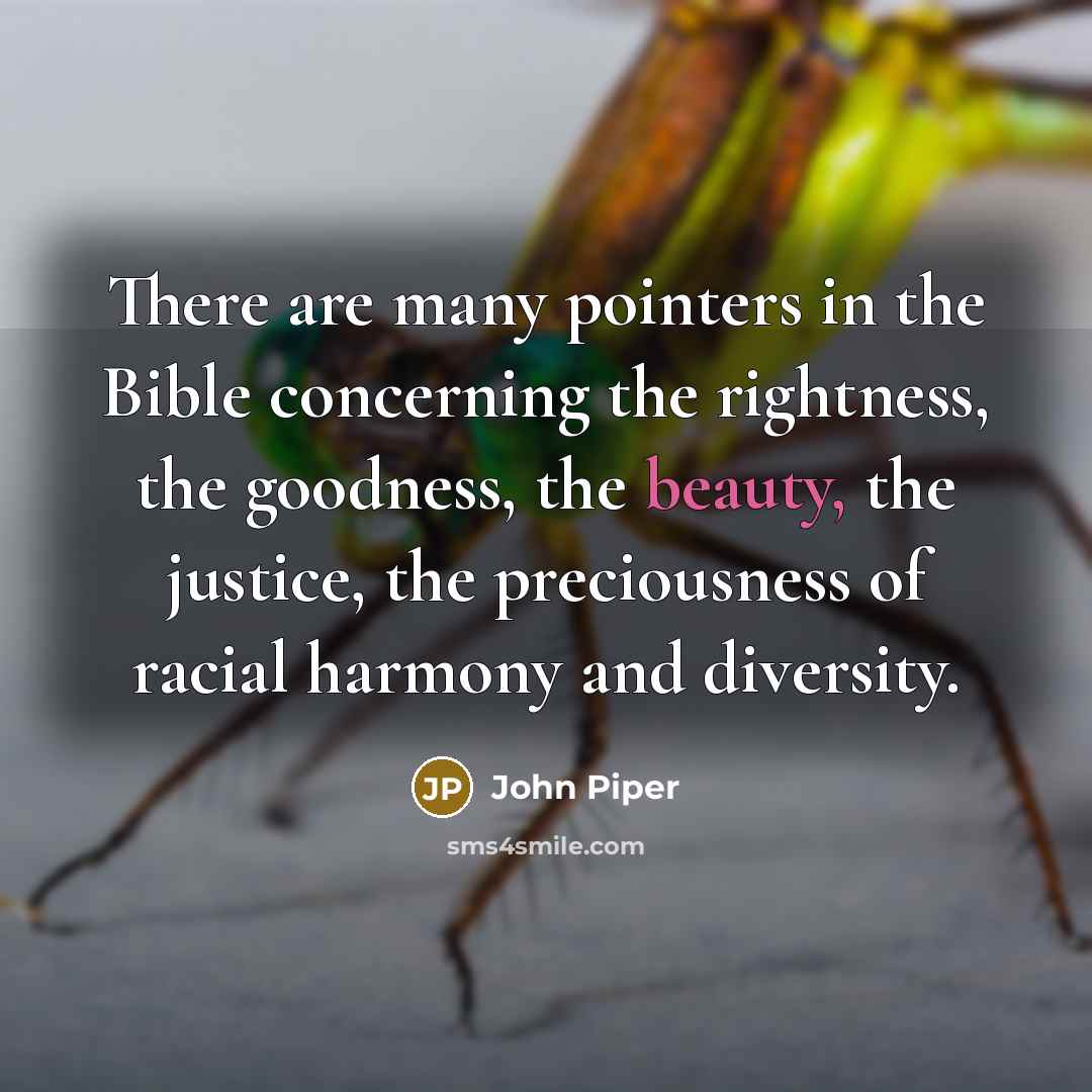 “There are many pointers in the Bible concerning the rightness,…” quote by John Piper