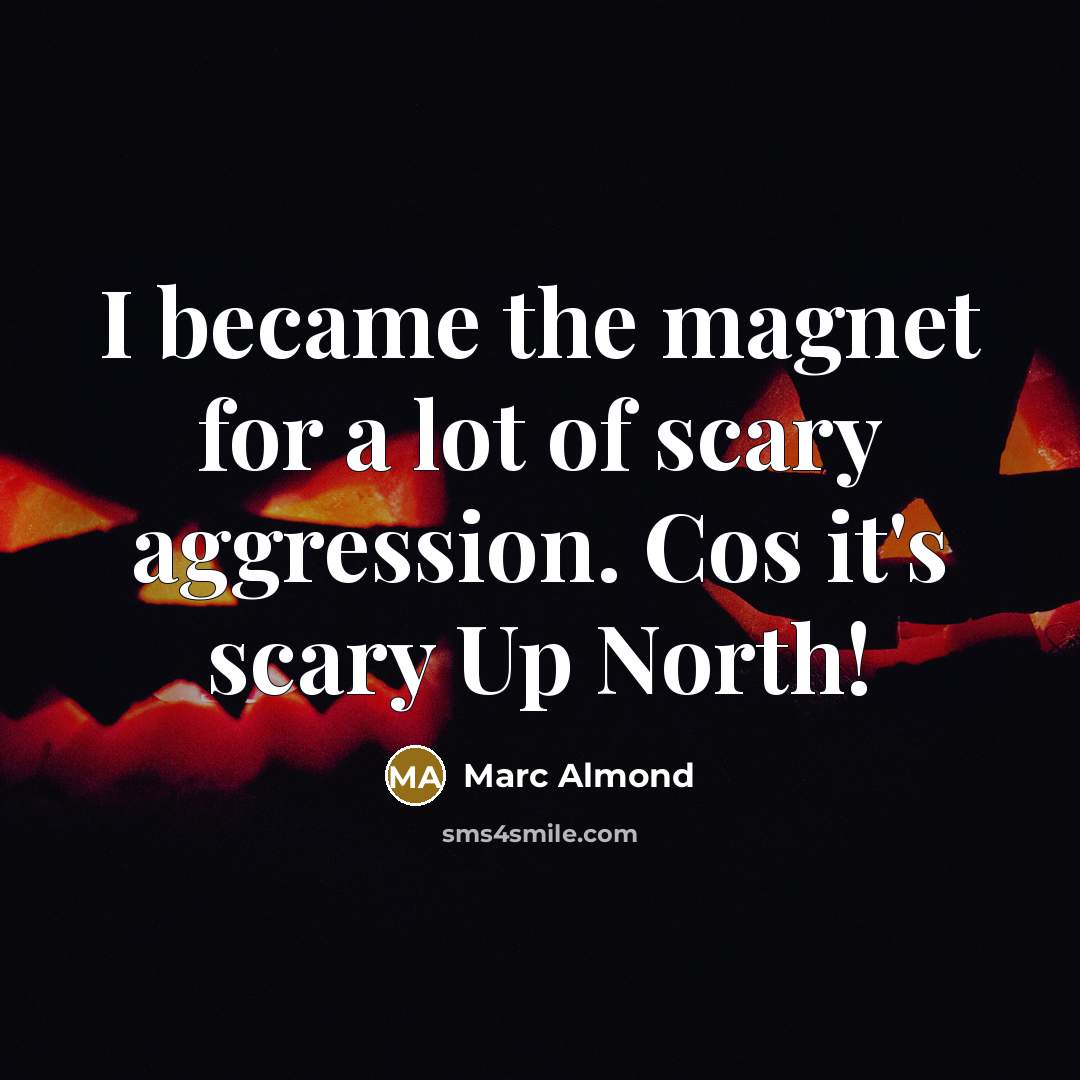 “I became the magnet for a lot of scary aggression.…” quote by Marc Almond