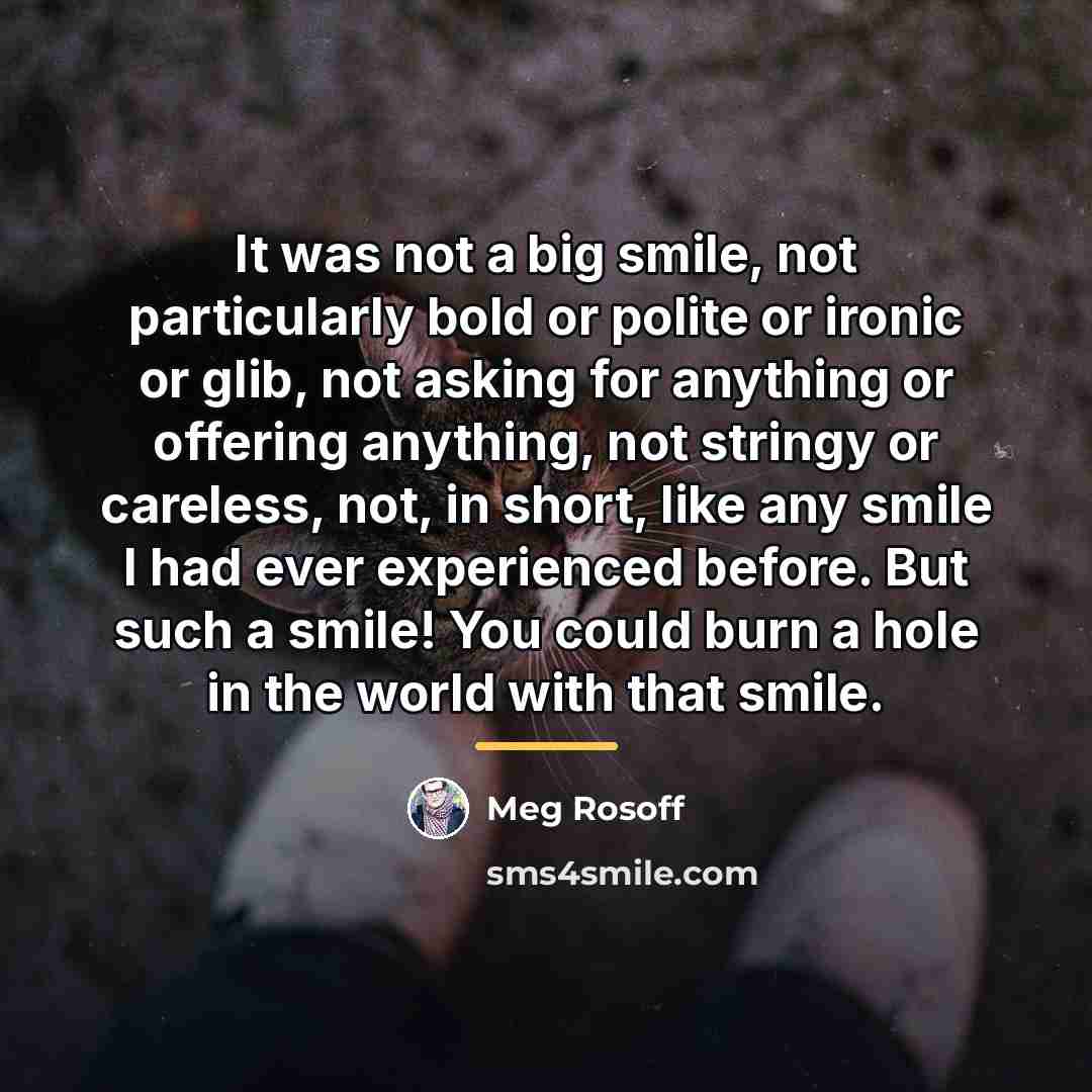 “It was not a big smile, not particularly bold or…” quote by Meg Rosoff
