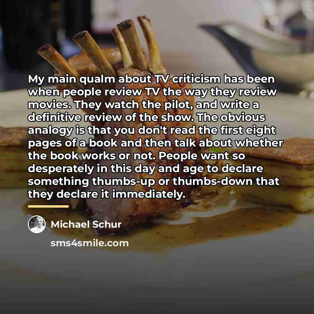 “My main qualm about TV criticism has been when people…” quote by Michael Schur