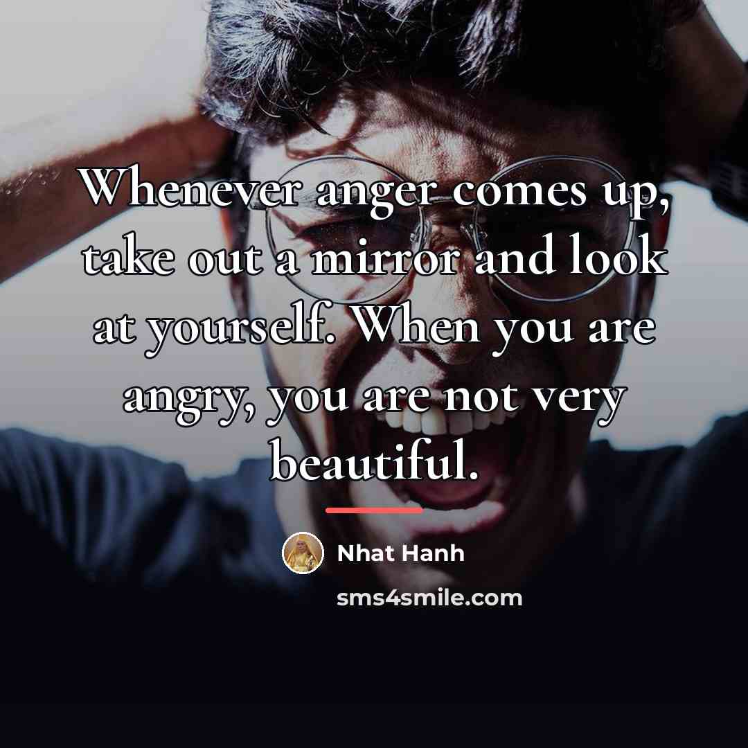 “Whenever anger comes up, take out a mirror and look…” quote by Nhat Hanh