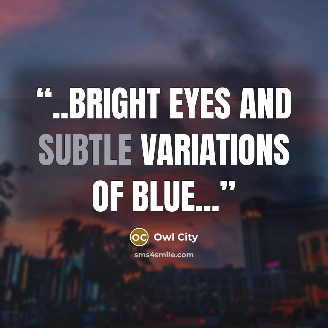 “..bright eyes and subtle variations of blue...” quote by Owl City
