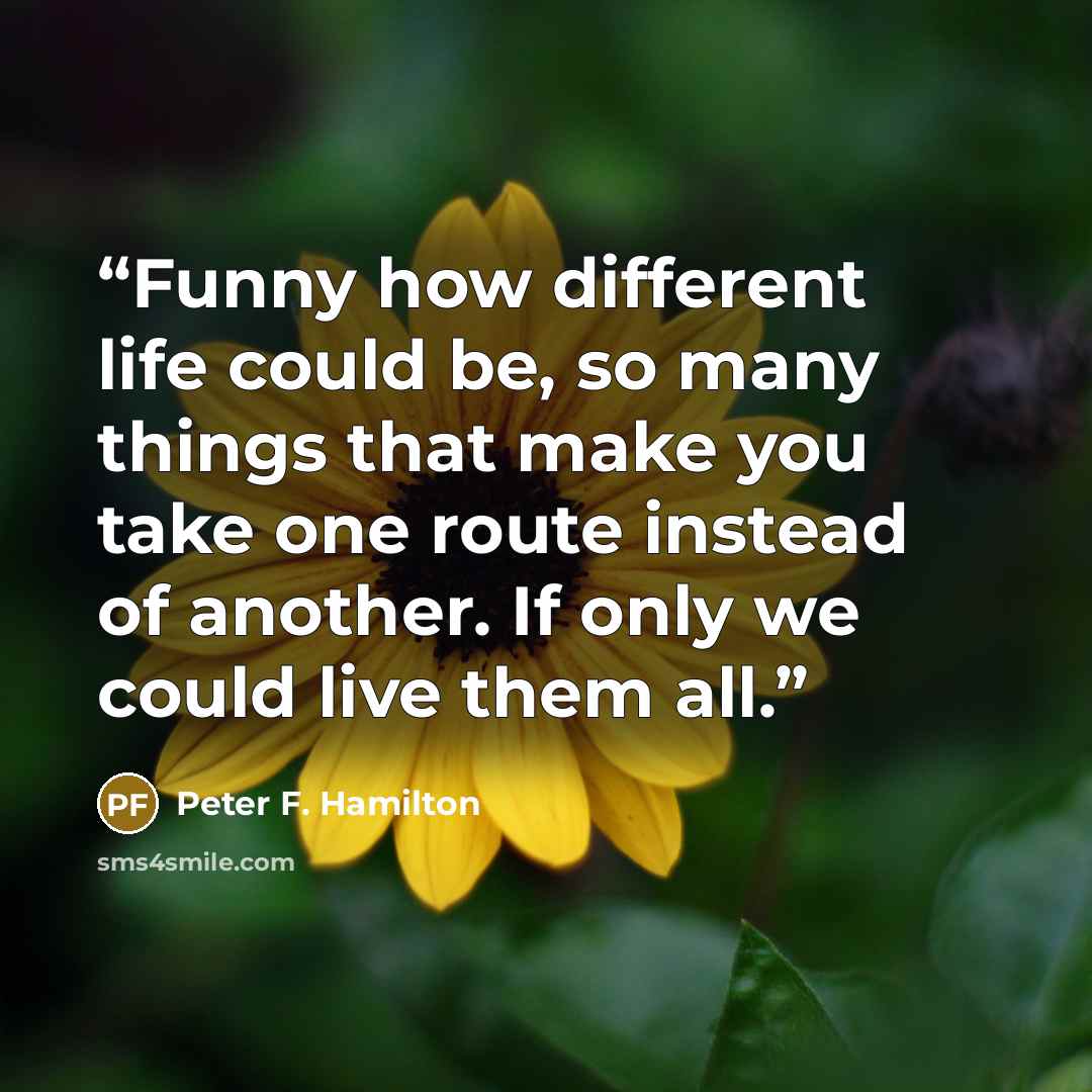 “Funny how different life could be, so many things that make you take one route instead of another. If only we could live them all.” quote by Peter F. Hamilton