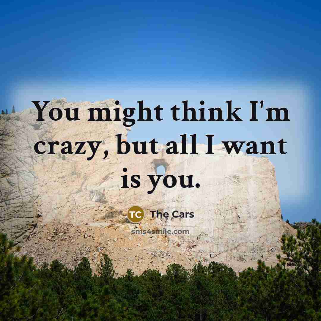 “You might think I'm crazy, but all I want is you.” quote by The Cars