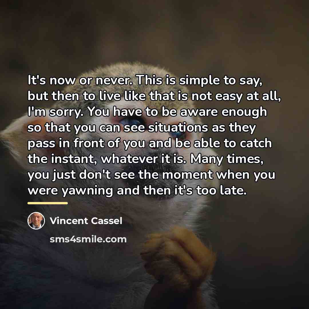 “It's now or never. This is simple to say, but…” quote by Vincent Cassel